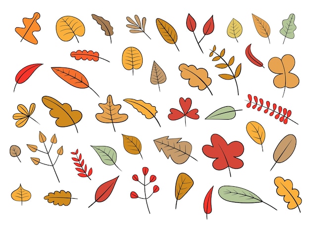 Vector autumn leaf vector design illustration isolated on white background