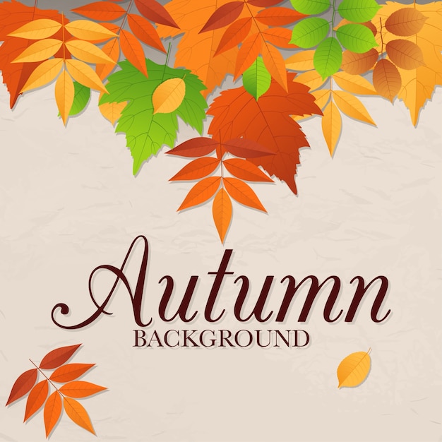 Autumn leaves background design