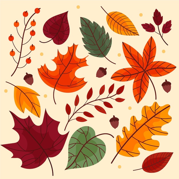 Autumn leaves collection design