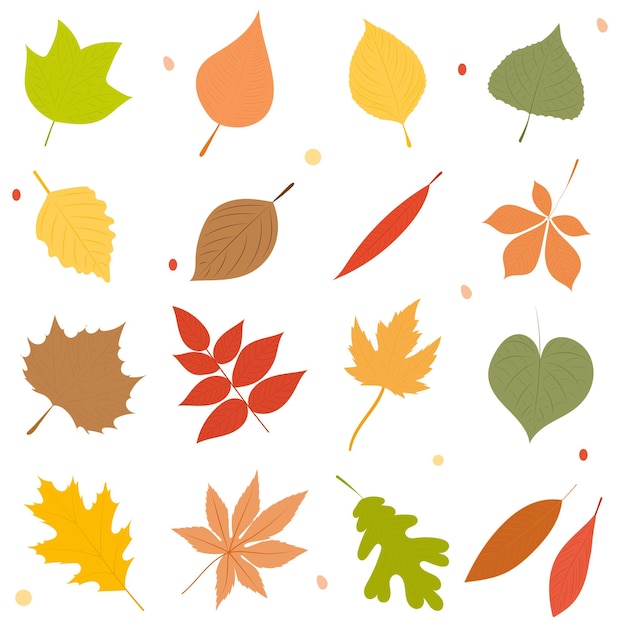 Autumn leaves collection silhouette set isolated vector