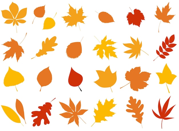 Autumn leaves in flat style set isolated vector