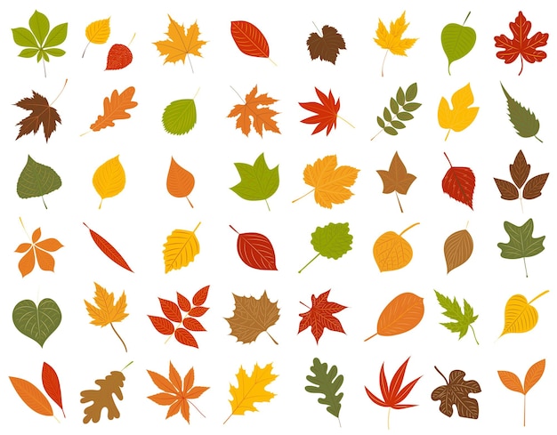 Autumn leaves set in flat style isolated vector