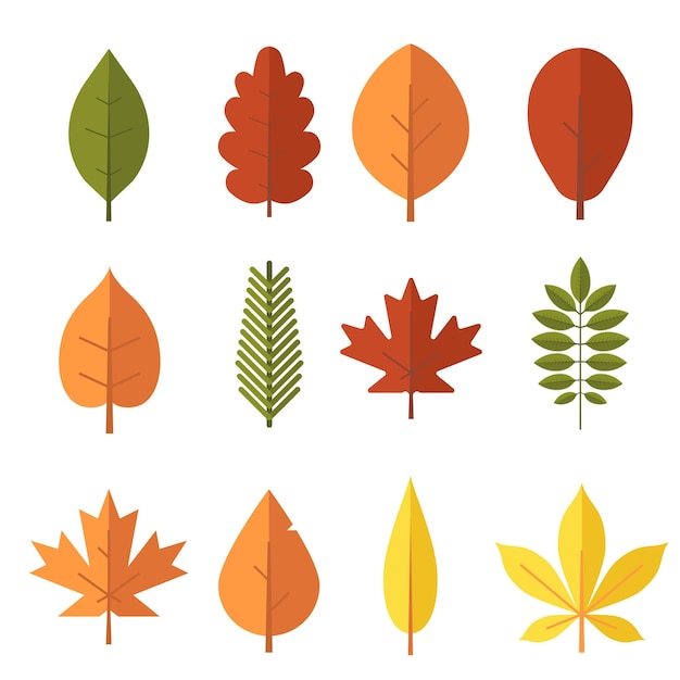 Vector autumn leaves set