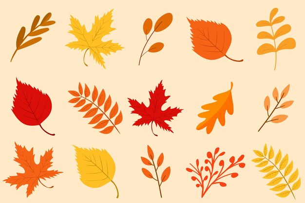 Vector autumn leaves