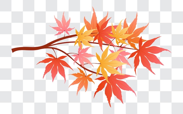 Vector autumn maple branches isolated on fake transparent background vector illustration