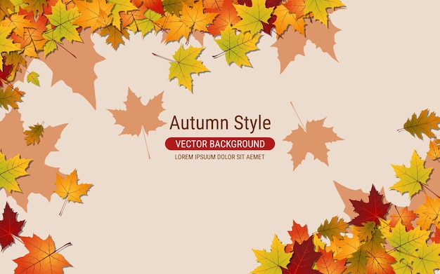 Vector autumn style background with colorful leaves