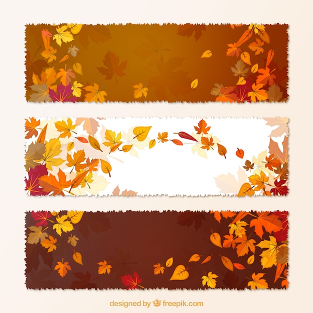 Vector autumnal banners