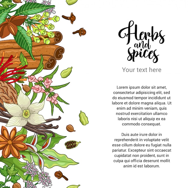 bakery card design with spices and herbs