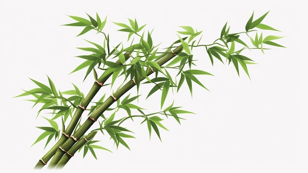 Vector bamboo leaves against a white background