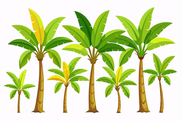 Vector banana tree color art elegant illustrations reflecting the beauty of banana tree