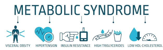 Banner design of Metabolic Syndrome vector icon concept. Hypertension, Insulin Resistance, High Trig