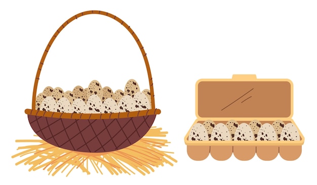 A basket of eggs and a box of eggs