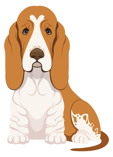 Basset hound sitting Funny dog breed icon