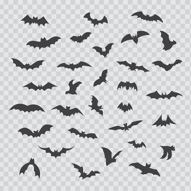 Bat icon set isolated