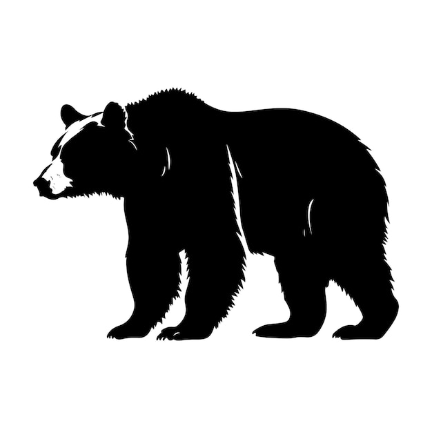 Bear Silhouette Vector