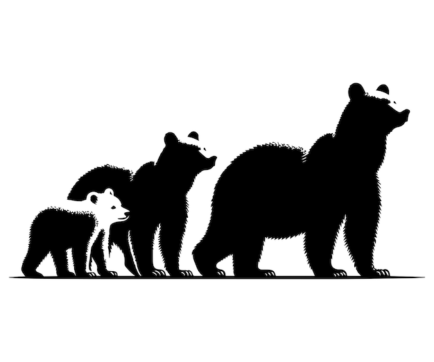 Vector bear wild animal family silhouettes on the white background grizzly bear polar bear california bear