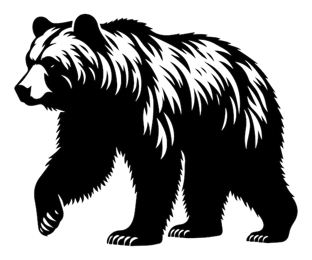 Bear wild animal silhouettes on the white background Grizzly bear polar bear California bear