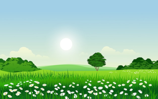 Beautiful morning in countryside with flowers green grassfield