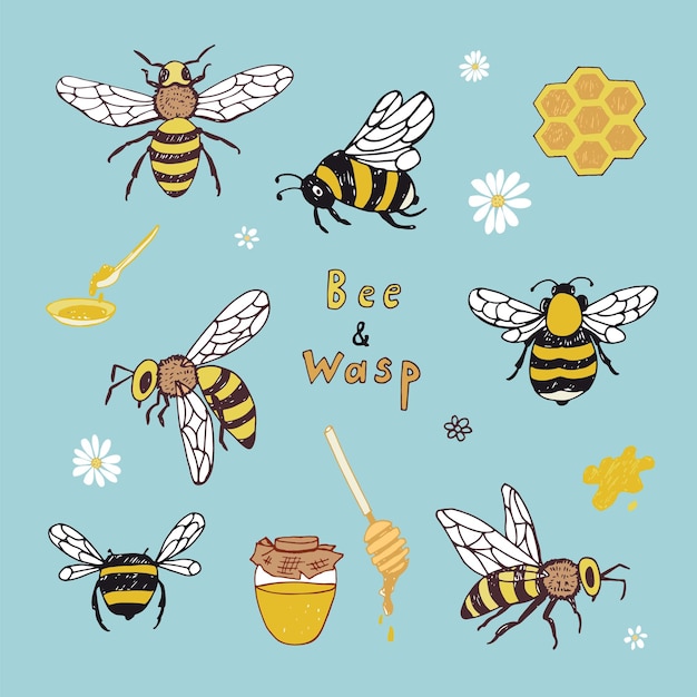 Vector bees insects vector illustrations set