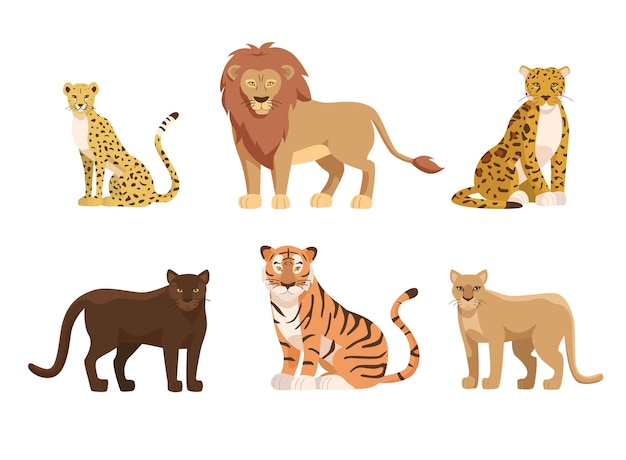 Big cats of Africa and North America illustrations set