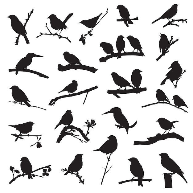 Bird and twig silhouettes