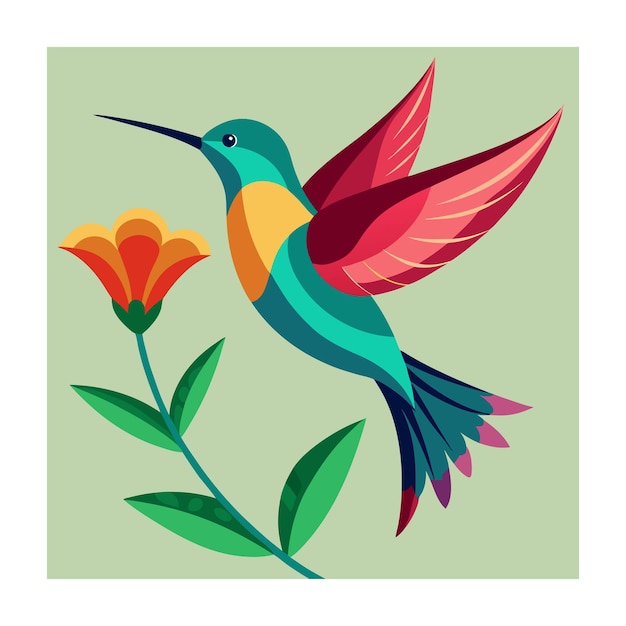 Vector bird vector illustration hummingbird cartoon design