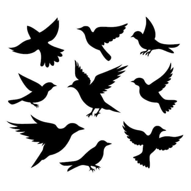 Vector birds black silhouettes collection isolated white background 19