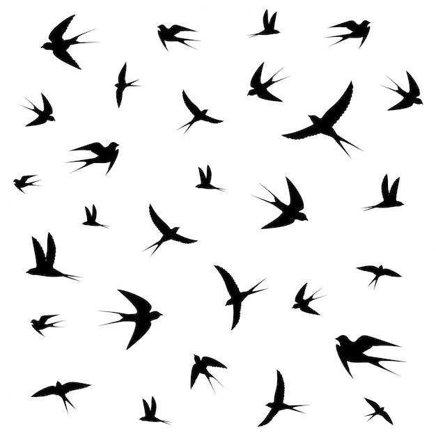 Birds circling