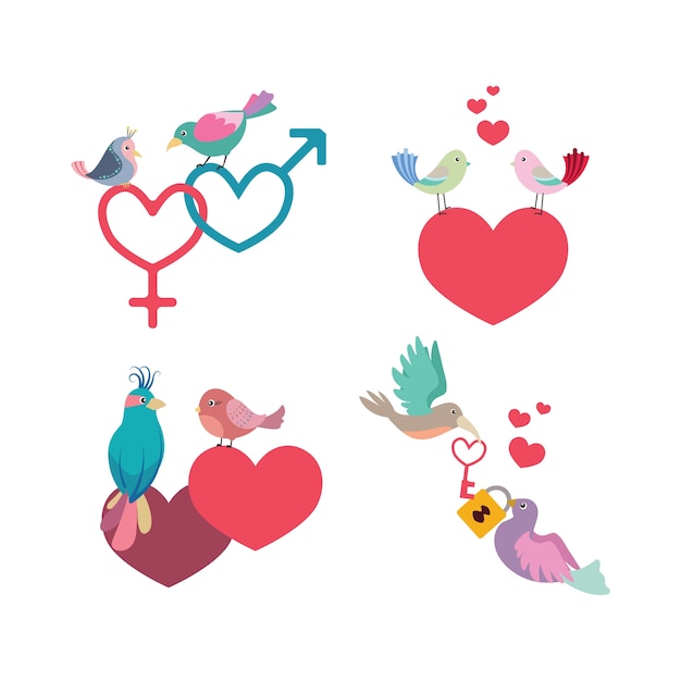 Birds and hearts collection