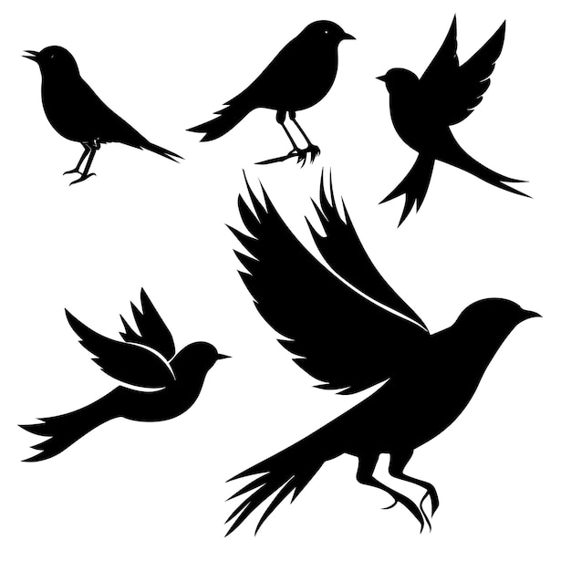 Vector birds silhouettes series