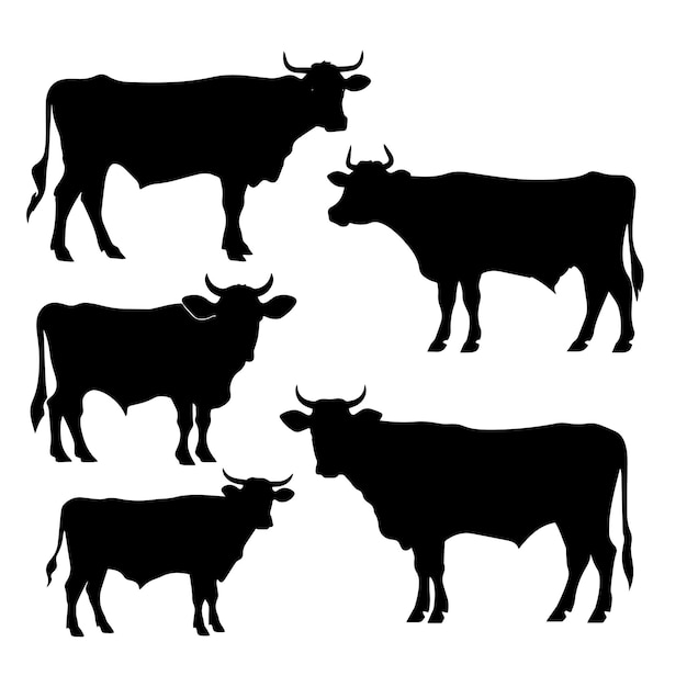 Vector a black cow with a white background with the words  the word  on it