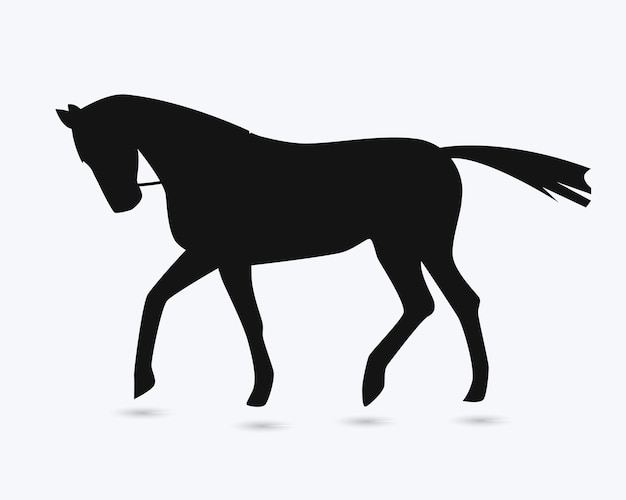 Vector black horse on a white background