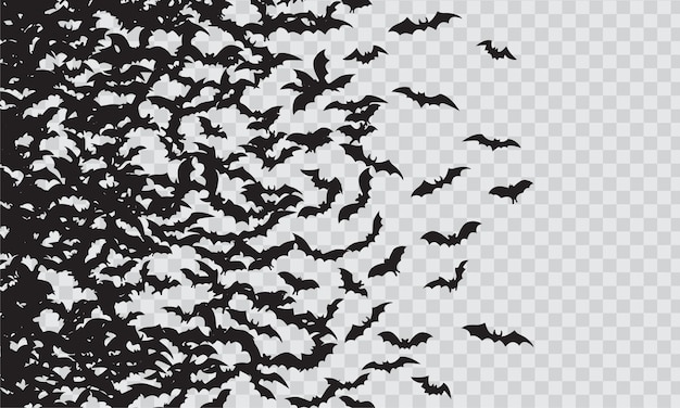 Black silhouette of flying bats flock