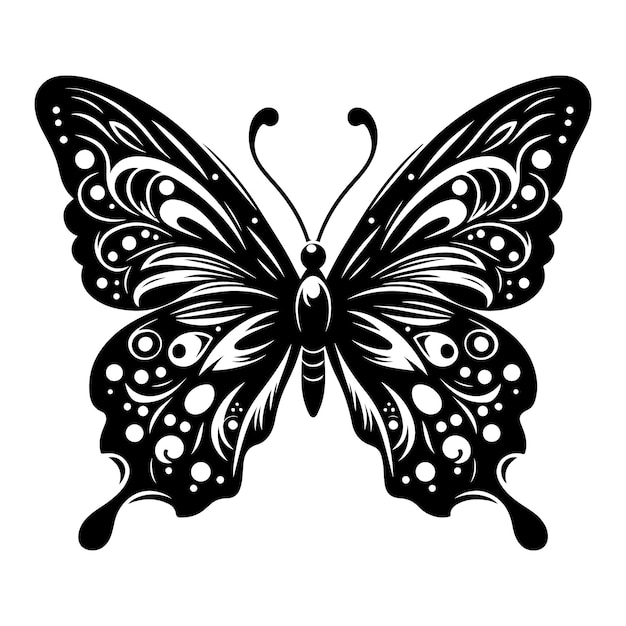 a black and white butterfly with a white background