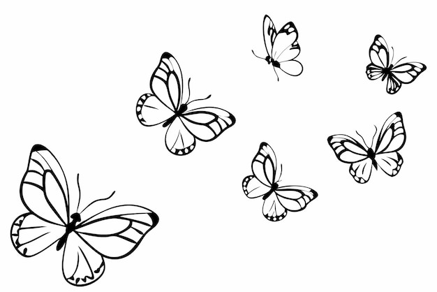 a black and white drawing of butterflies and butterflies