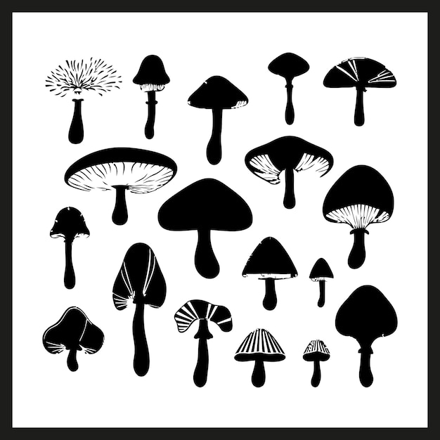 a black and white picture of mushrooms and mushrooms