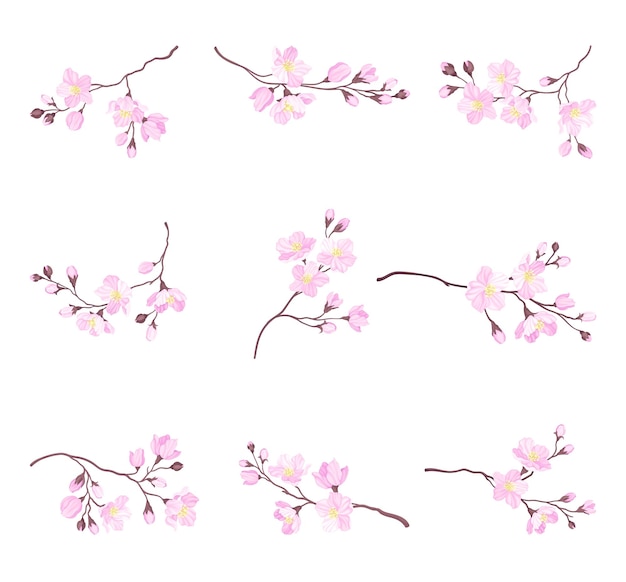 Blooming Cherry Branches with Tender Pink Flower Blossoms Vector Set