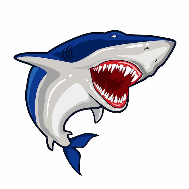 Blue Shark vector