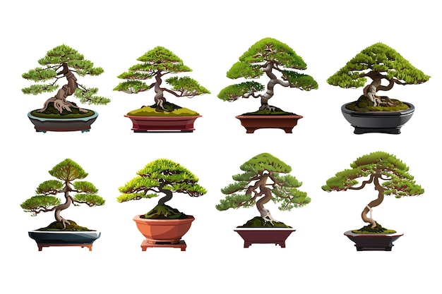 Vector bonsai plant collection elegant vector illustrations of miniature greenery