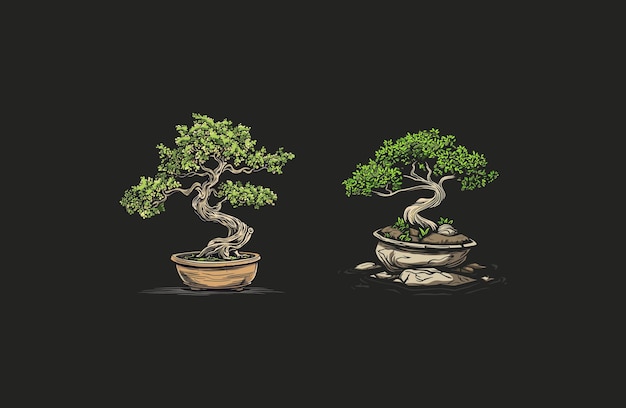 Vector bonsai tree design vector illustration