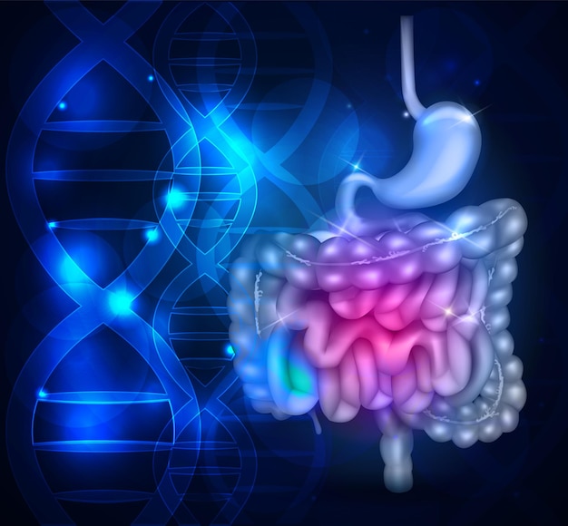 Vector bowels and stomach abstract scientific background