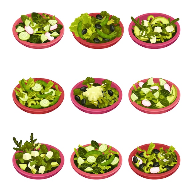 Vector bowl of salad with greenery vector set greed organic ingredients in salad preparation concept