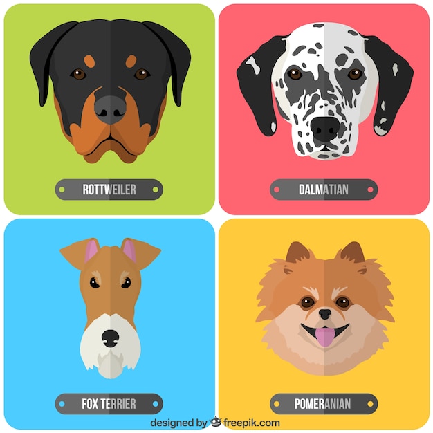 Vector breeds of dogs