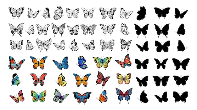 Butterfly collection Drawing butterflies silhouette and color flying insects Spring animals wild meadow or forest characters vector set