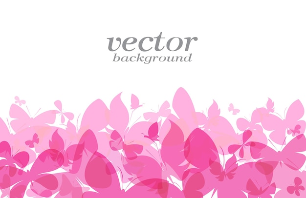 Vector butterfly design on white background - vector illustration, background