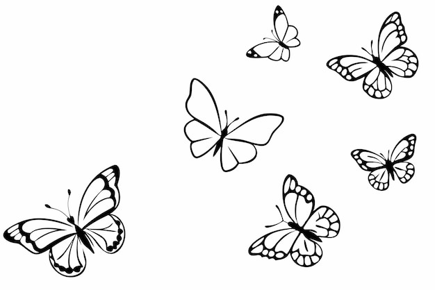 Butterfly line art