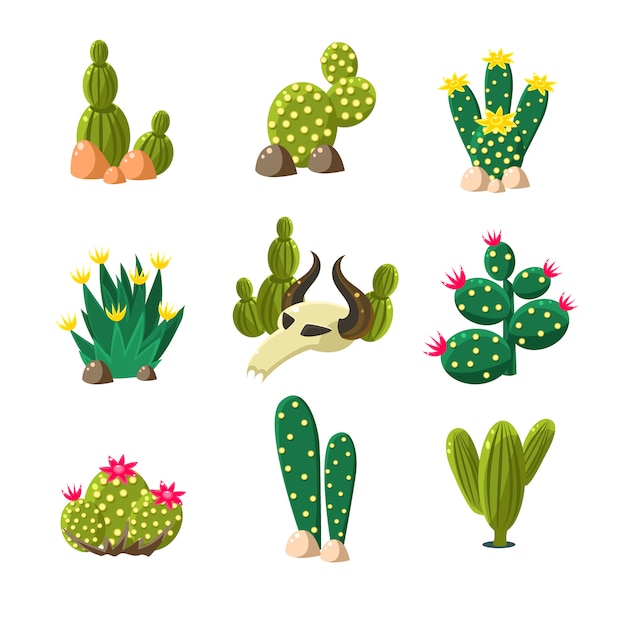 Cactus and Skull Icons, Illustration Set