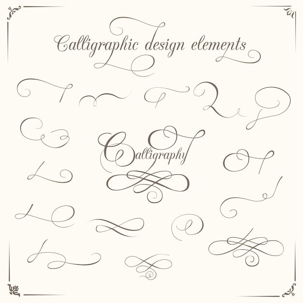 Vector calligraphic design elements vector set