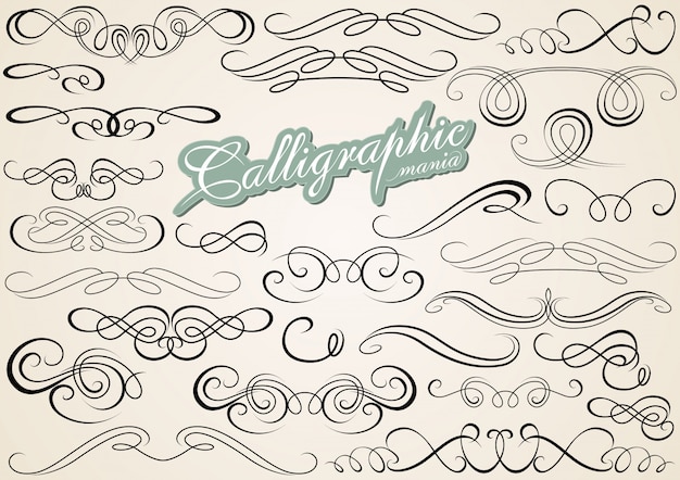 Vector calligraphic design elements