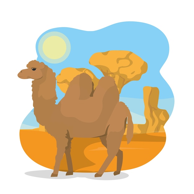 Camel on desert